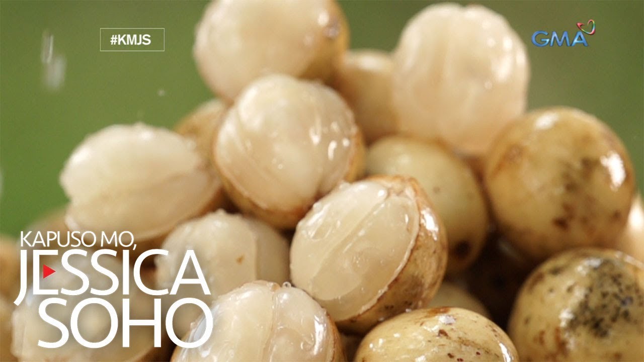 Kapuso Mo, Jessica Soho: Oh yes, lanzones!