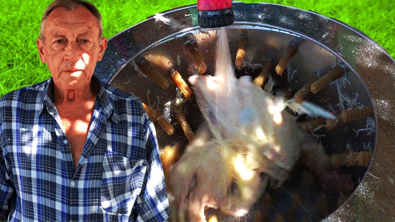 ПЕРОСЪЕМНАЯ МАШИНА ДЛЯ УТОК / ПСМ - 60 ЛУЧШИЙ ПОМОЩНИК