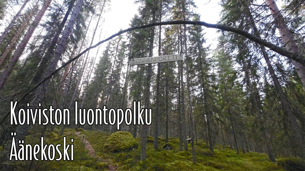 Koiviston luontopolku, Äänekoski.