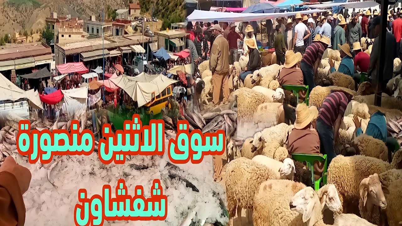 سوق الاثنين منصورة إقليم شفشاون