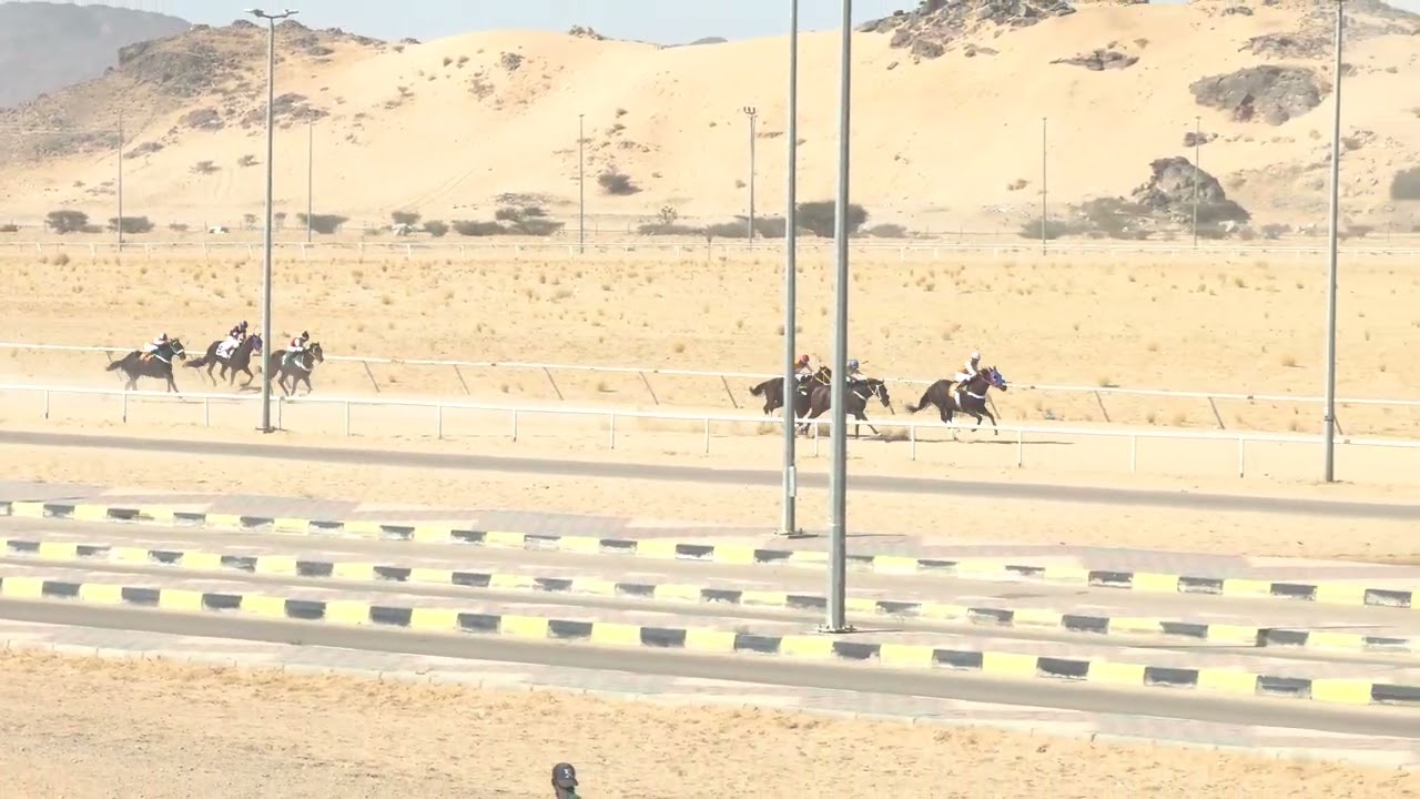 الشوط 1 بالحفل السابع عشر يوم الاثنين 17-7-1445هـ