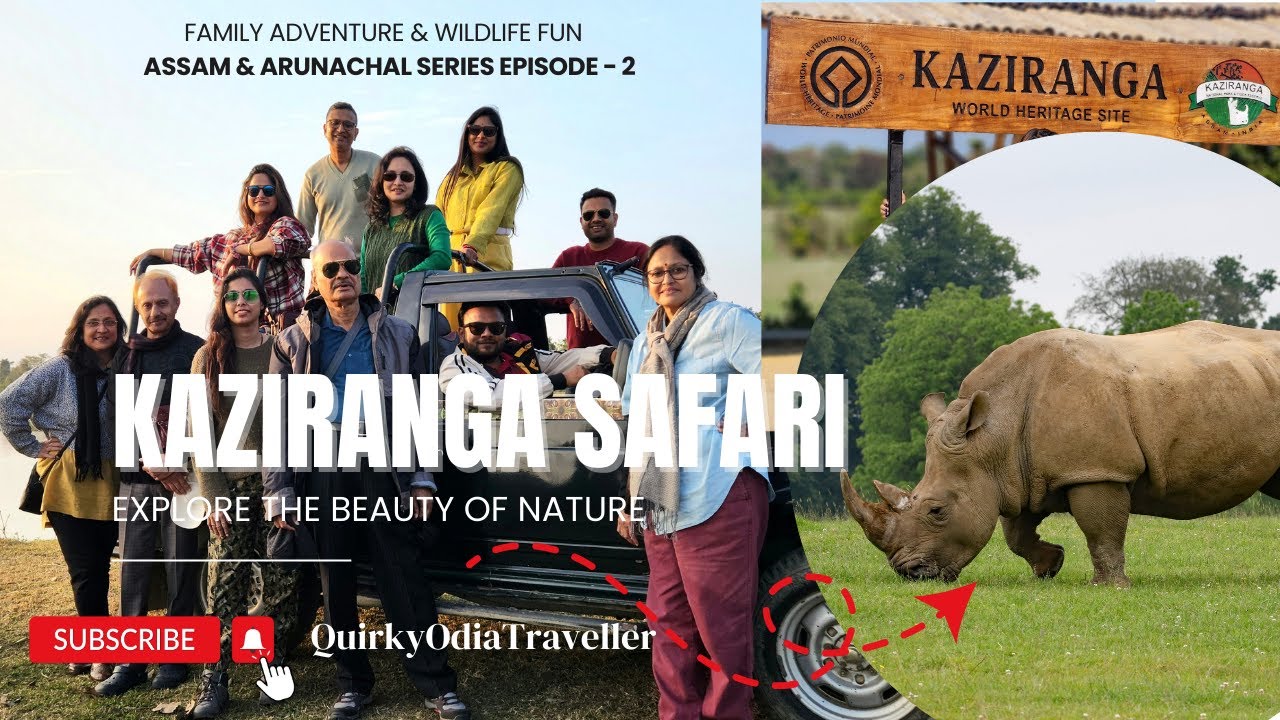 Drove to Kaziranga | Rhino Spotting & Afternoon Safari Fun! 🦏| Assam & Arunachal Series EP-2