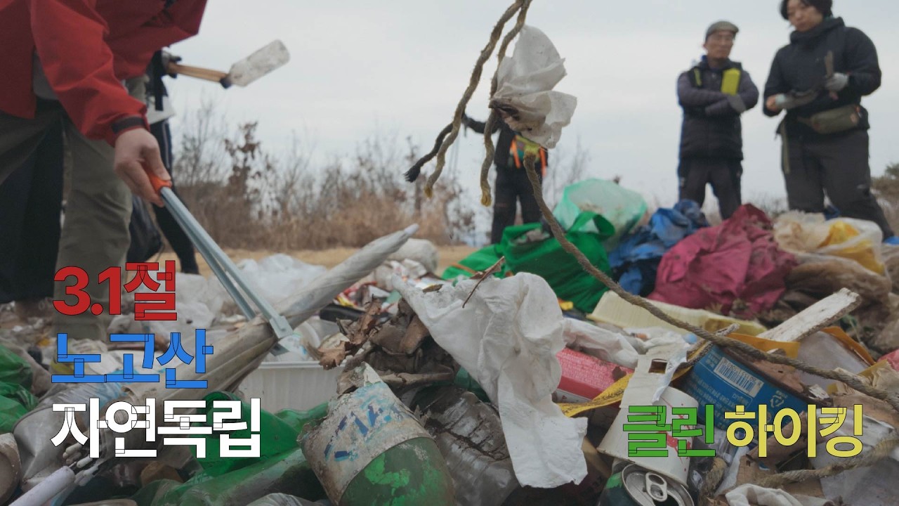 3.1절 노고산 자연독립 시키기 | with 클린하이커스