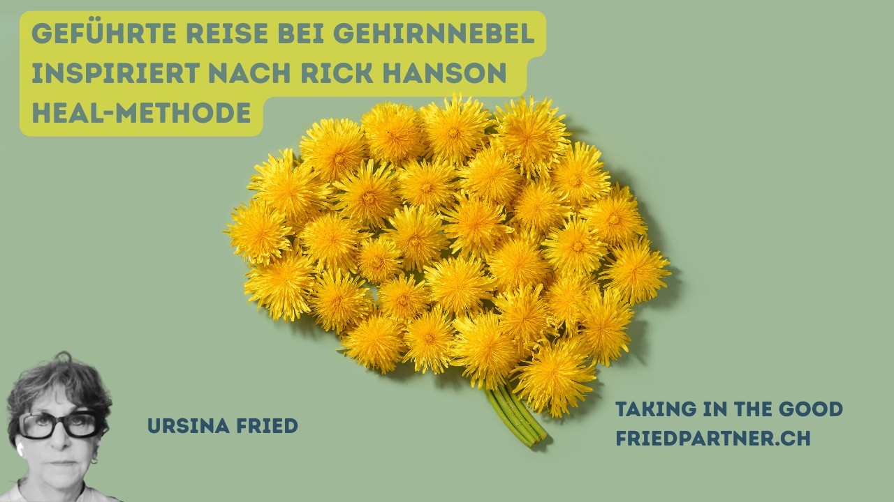 HEAL Methode nach Rick Hanson I Ursina Fried