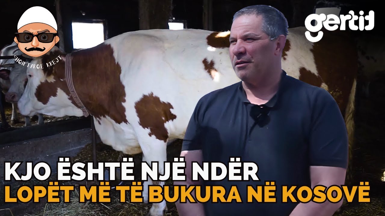 Kurrë e përjetë nuk dal me jetu në Qytet - E dua Fermën time, punën dhe Katunin | Histori të Jetes