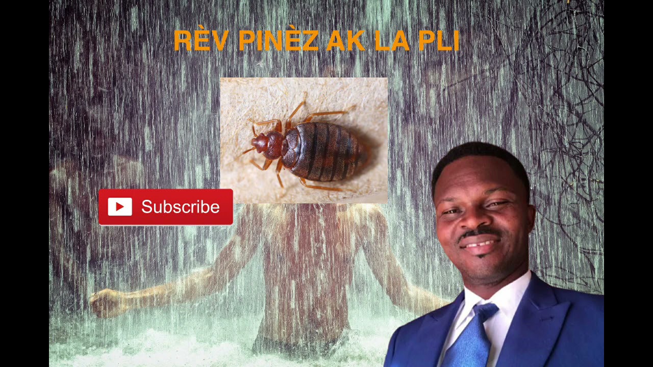 2 gro bout tonton rèv....... pinèz ak lapli....kisa yo vle di