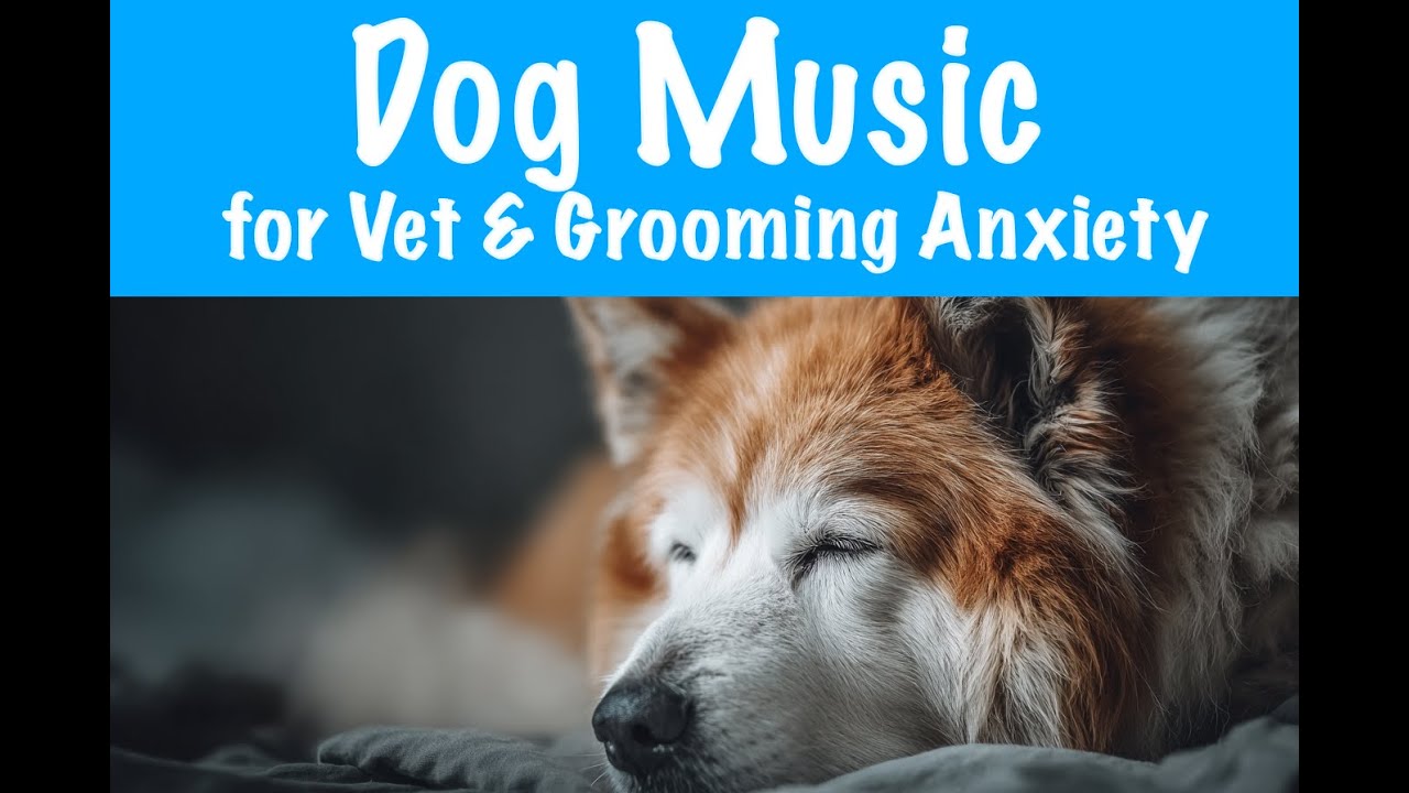 Calming Music for Dog Anxiety During Grooming & Vets
