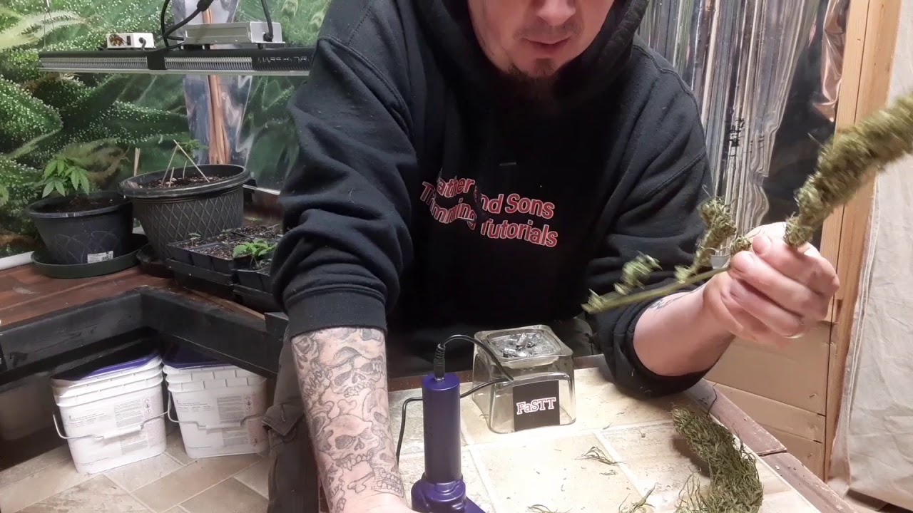 Trim Daddy!!!