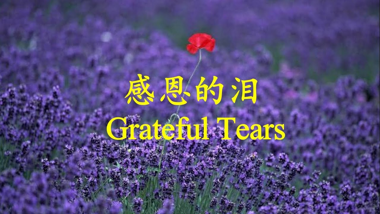 【感恩的淚】 小提琴靈修音樂 Grateful Tears / Violin Cover