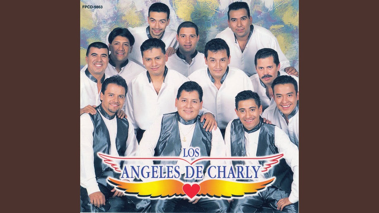 No Te He Dejado De Amar