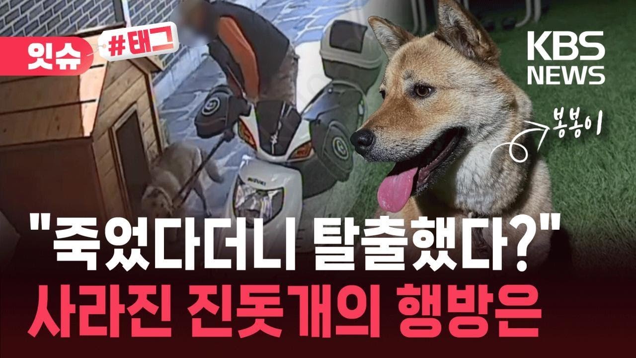 [잇슈#태그] &ldquo;죽었다더니 이제는 탈출했다?&rdquo;&hellip;남의 반려견 끌고 간 개장수 입건 / KBS 2026.04.10.