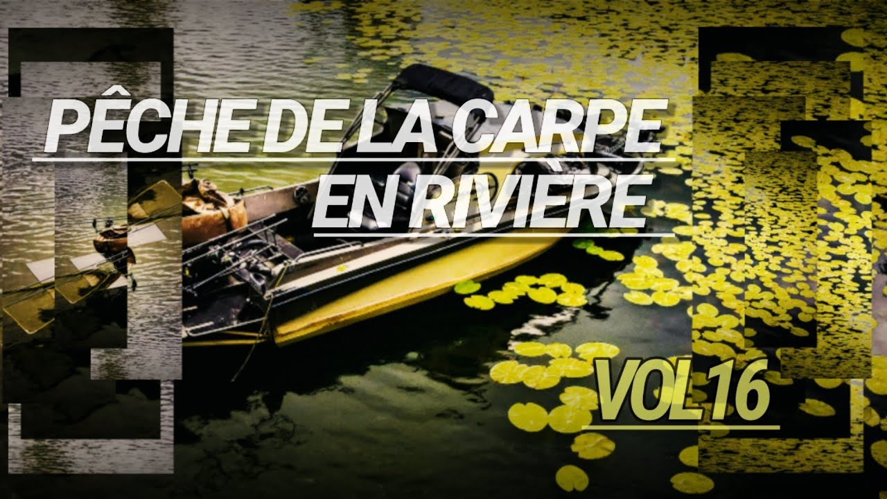 Pêche de la carpe en rivière Vol16