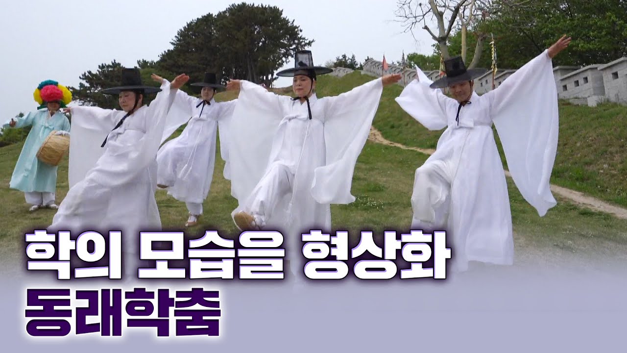[무형문화재] 학의 날개짓과 비상, 고고한 춤의 자태 '동래학춤'