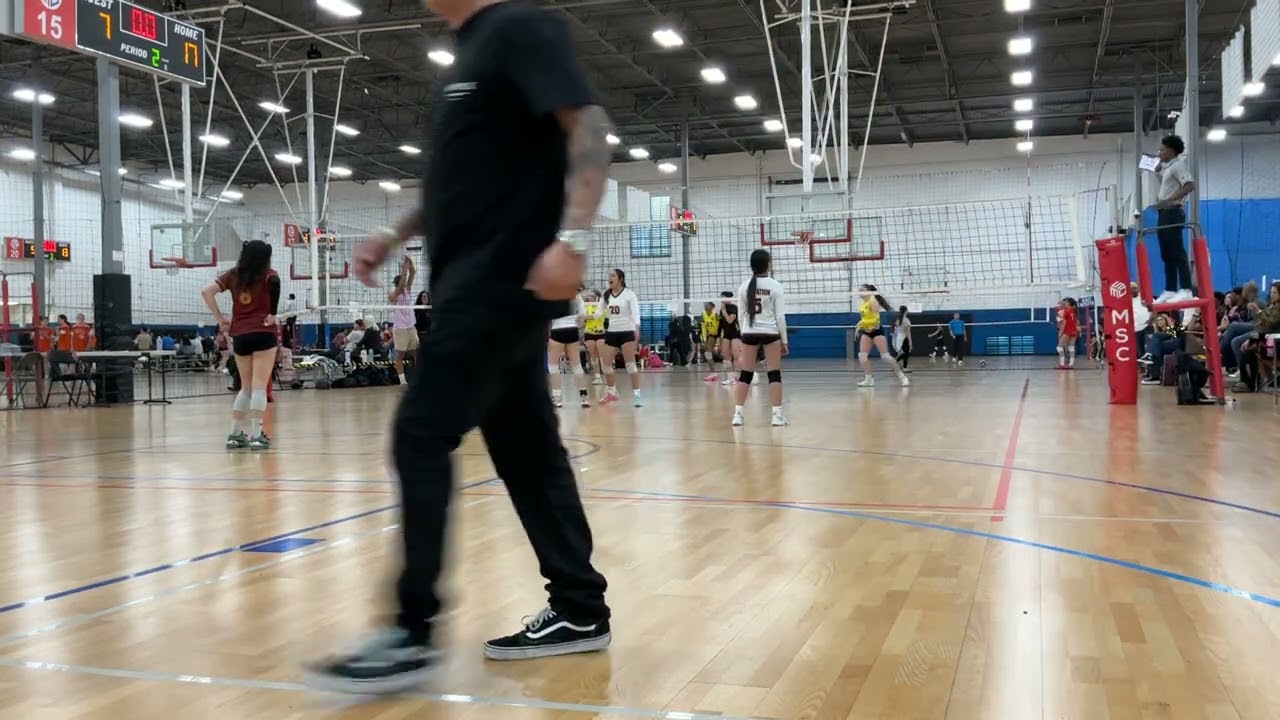 Elite E. Oscar 16s second set