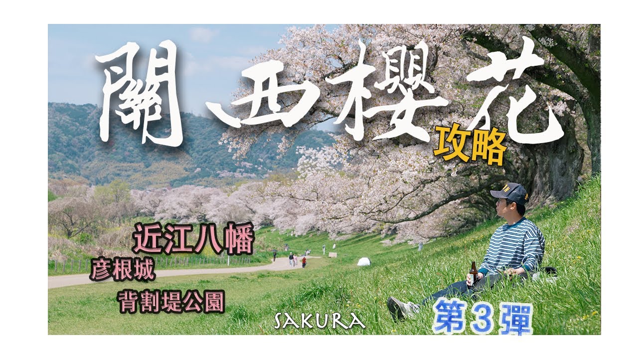 【日本關西🌸櫻花攻略】第③彈：人間X4月天！從初開→滿開，再追到絢爛動人的櫻吹雪，找個神器留住這短暫的360度的美好｜影石X4｜背割堤｜彥根城｜近江八幡｜八幡堀｜近江牛｜滋贺｜琵琶湖｜4K｜2024