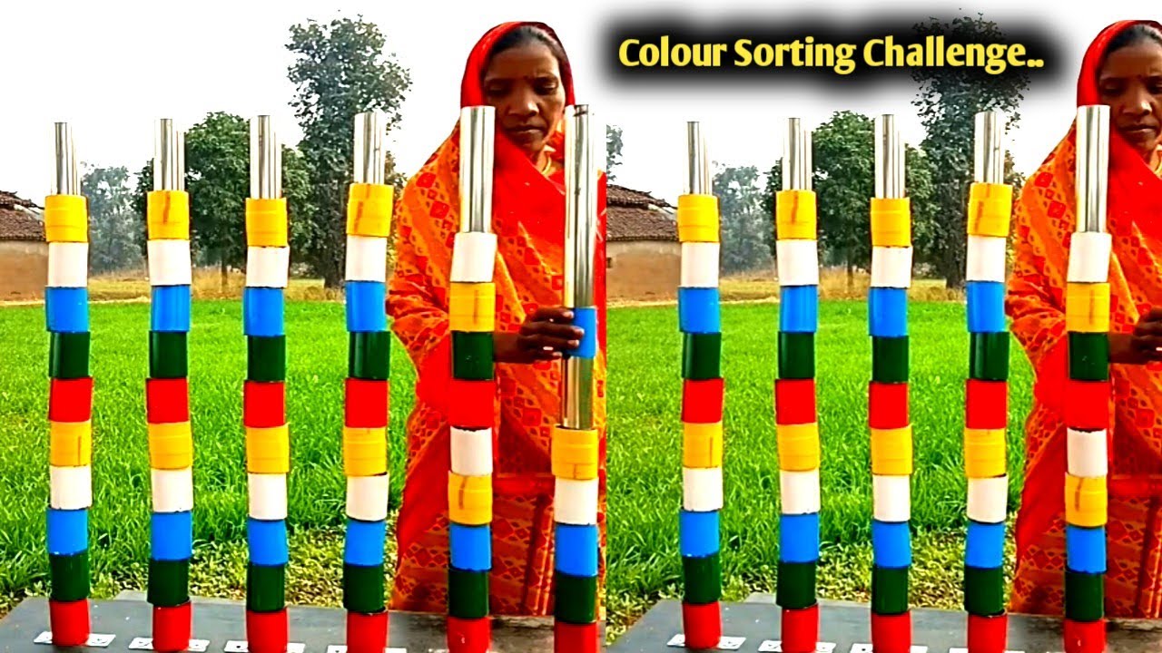Colour Sorting Challenge Game | Color Challenge | Color Competition Games | @bonny-f5f-fan 