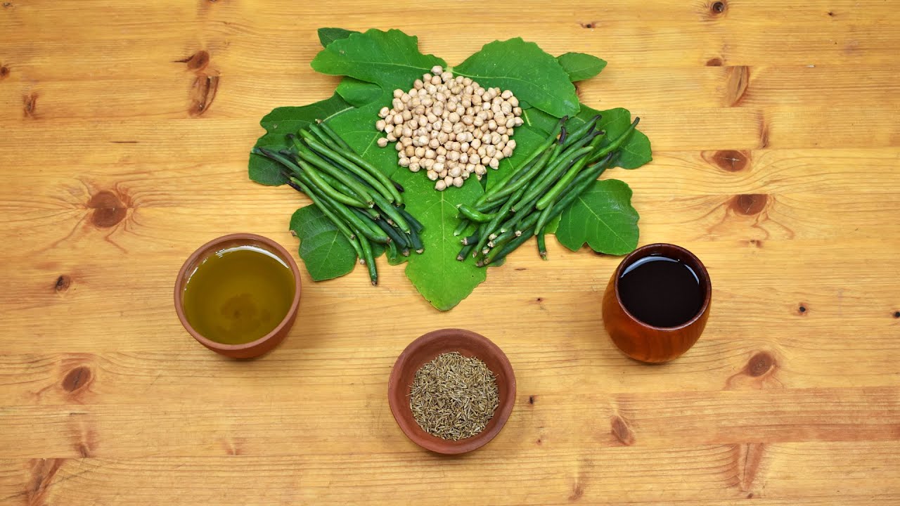 Ancient Roman Chickpeas and Green Beans