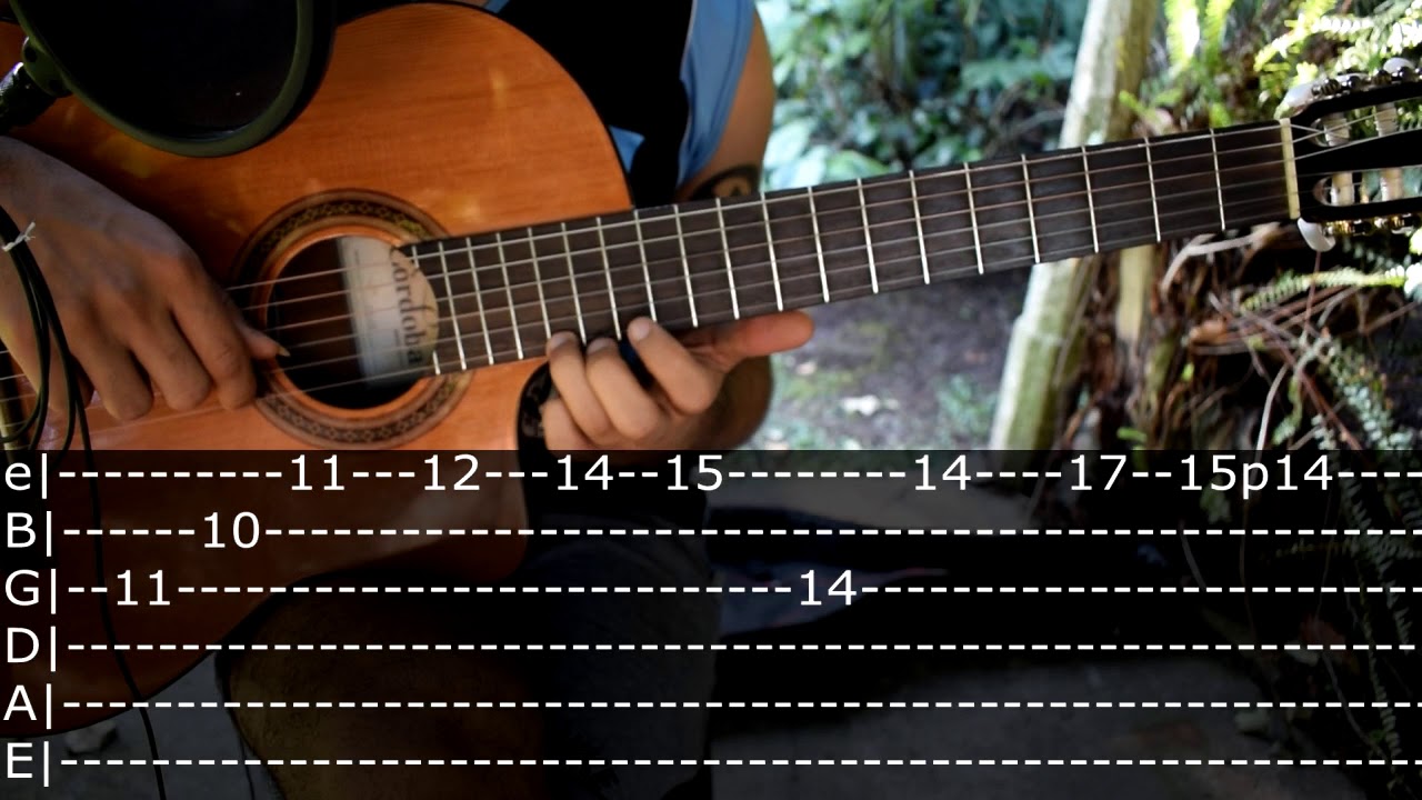 Amor Salvaje (El Chaqueño Palavecino) - Punteo Tutorial