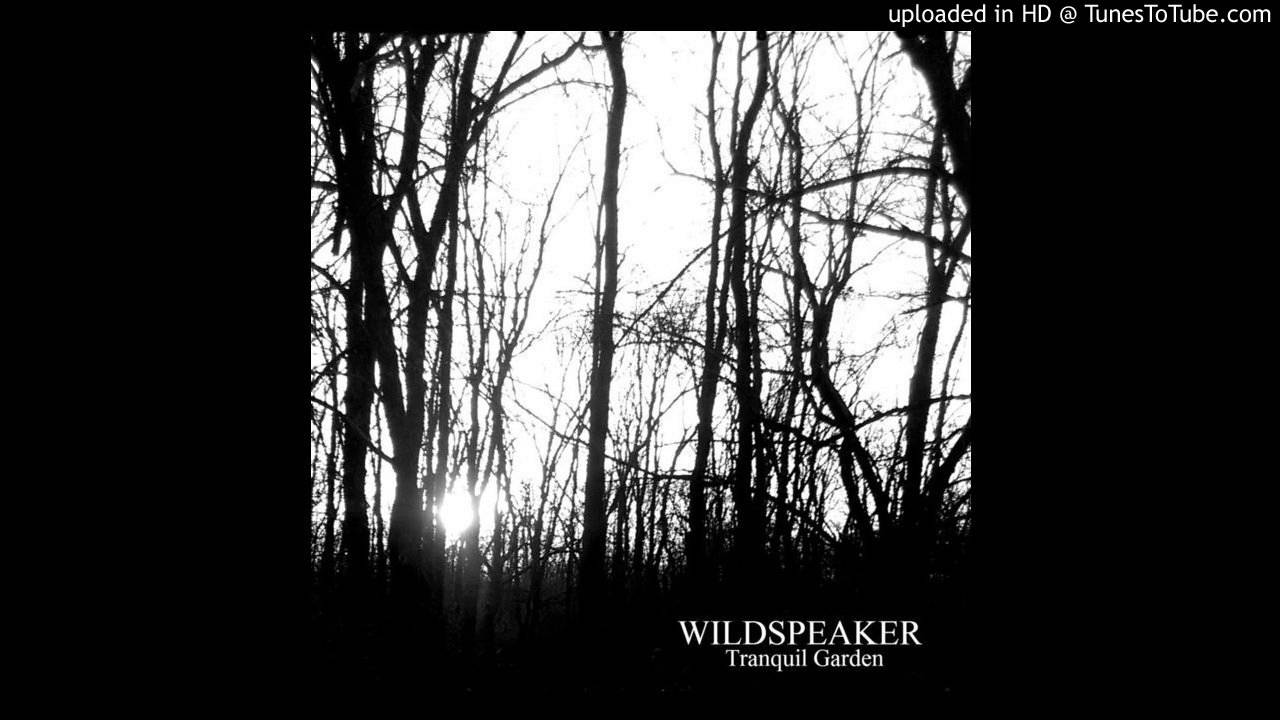 Wildspeaker - Abrupt Decay 