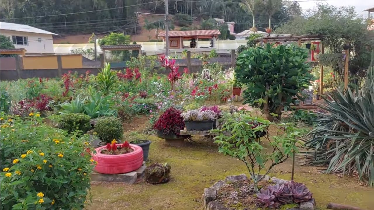 Enlouqueci! um incrível jardim na cidade  suculentas gigantes no chão muitas flores! Em Marechal/ES