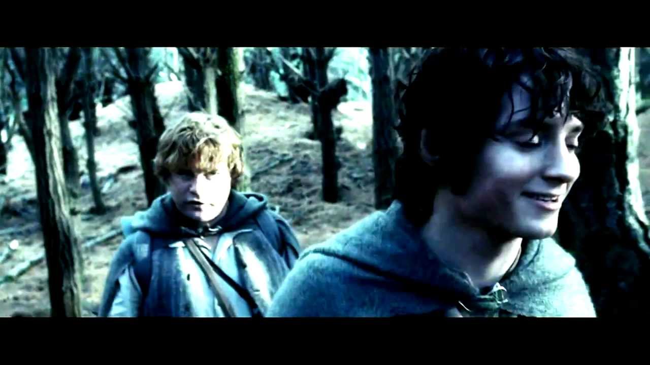 Tribute to Frodo Baggins