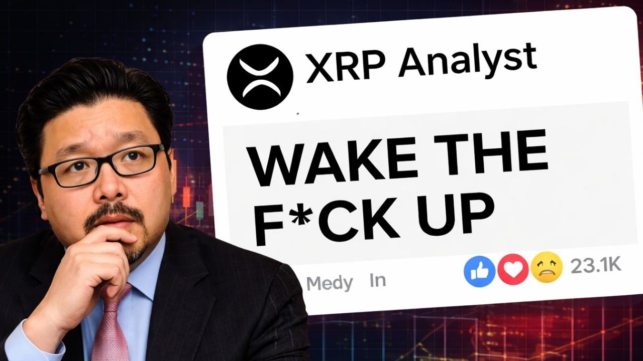 99% людей упускают из виду схему с XRP от Goldman Sachs и BlackRock 🚀
