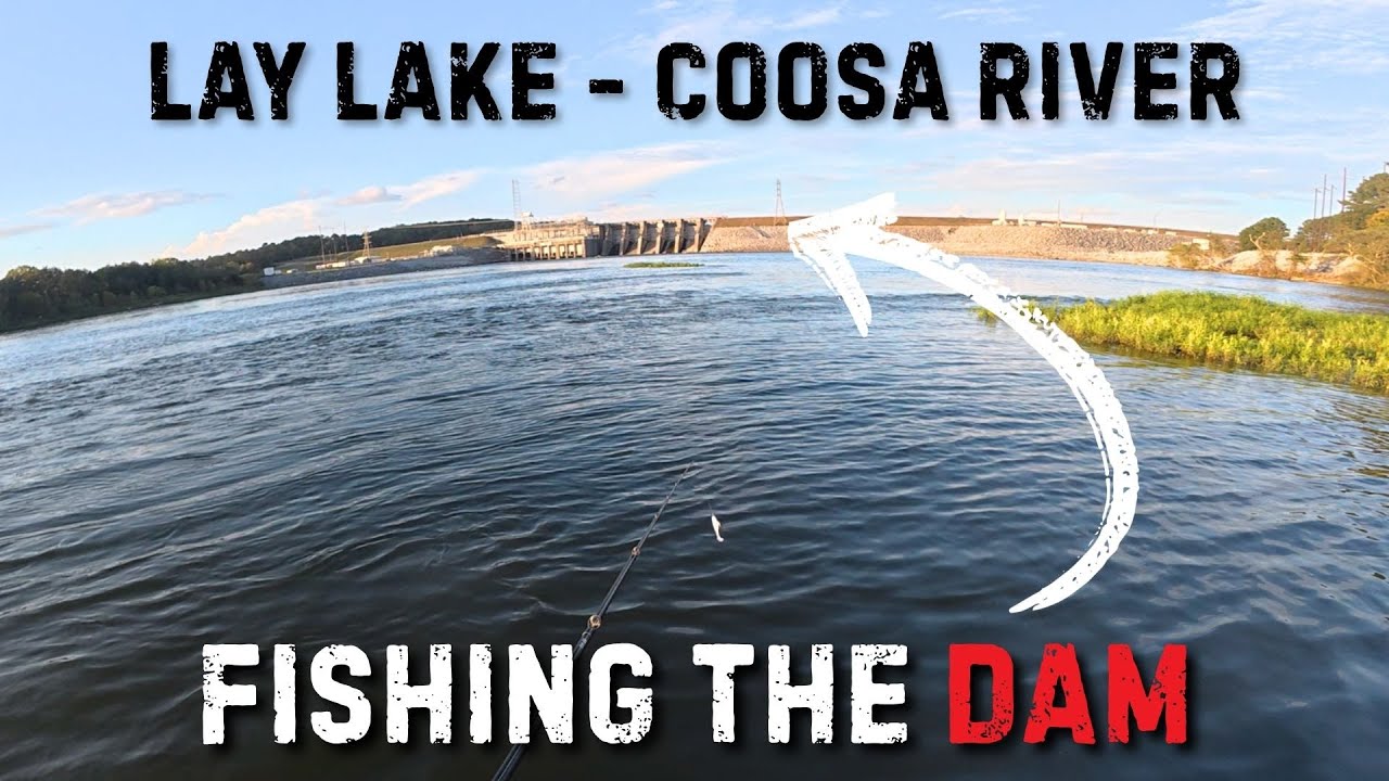 Dam Fishing! - Lay Lake/Coosa River