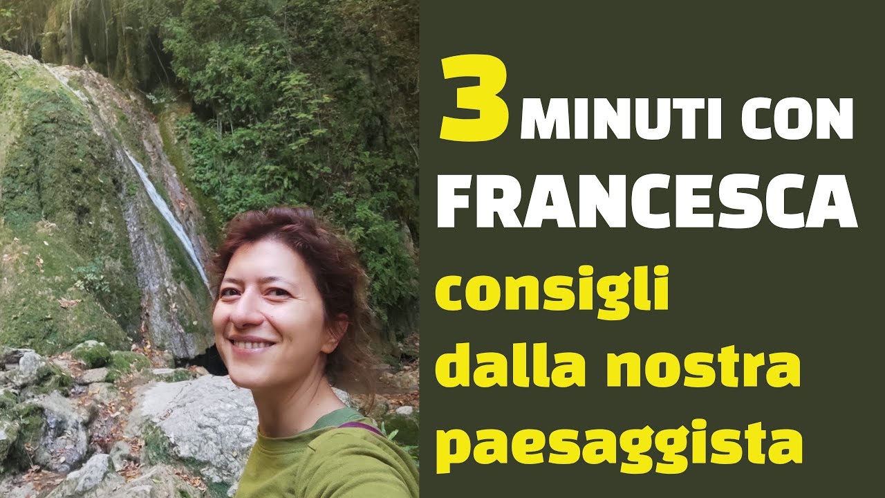 Schefflera e falangio, giochiamo con i loro verdi ebianchi