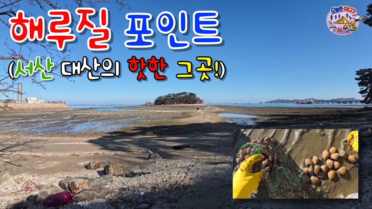 해루질 포인트 (핫한 서산 거기!) #명주조개 #해루질 #개불