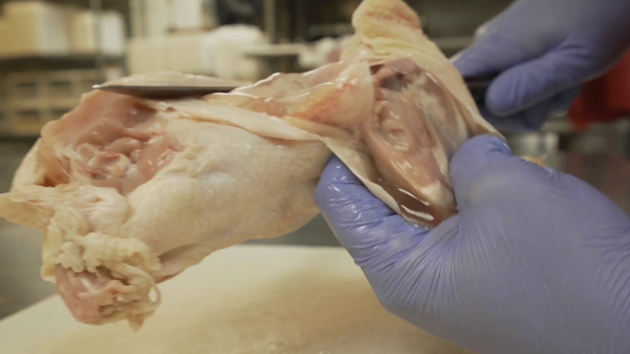 How to cut Whole Chickens including Wishbone (Pulley Bone)