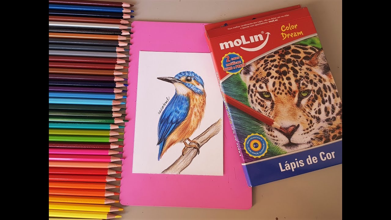 Resenha Lápis de cor Molin 36 Cores