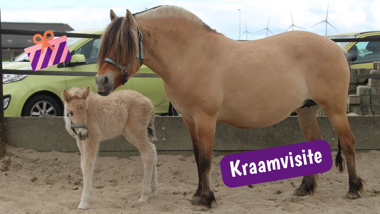 Op KRAAMVISITE bij 1 dag oude RESI!| VLOG | VILARO