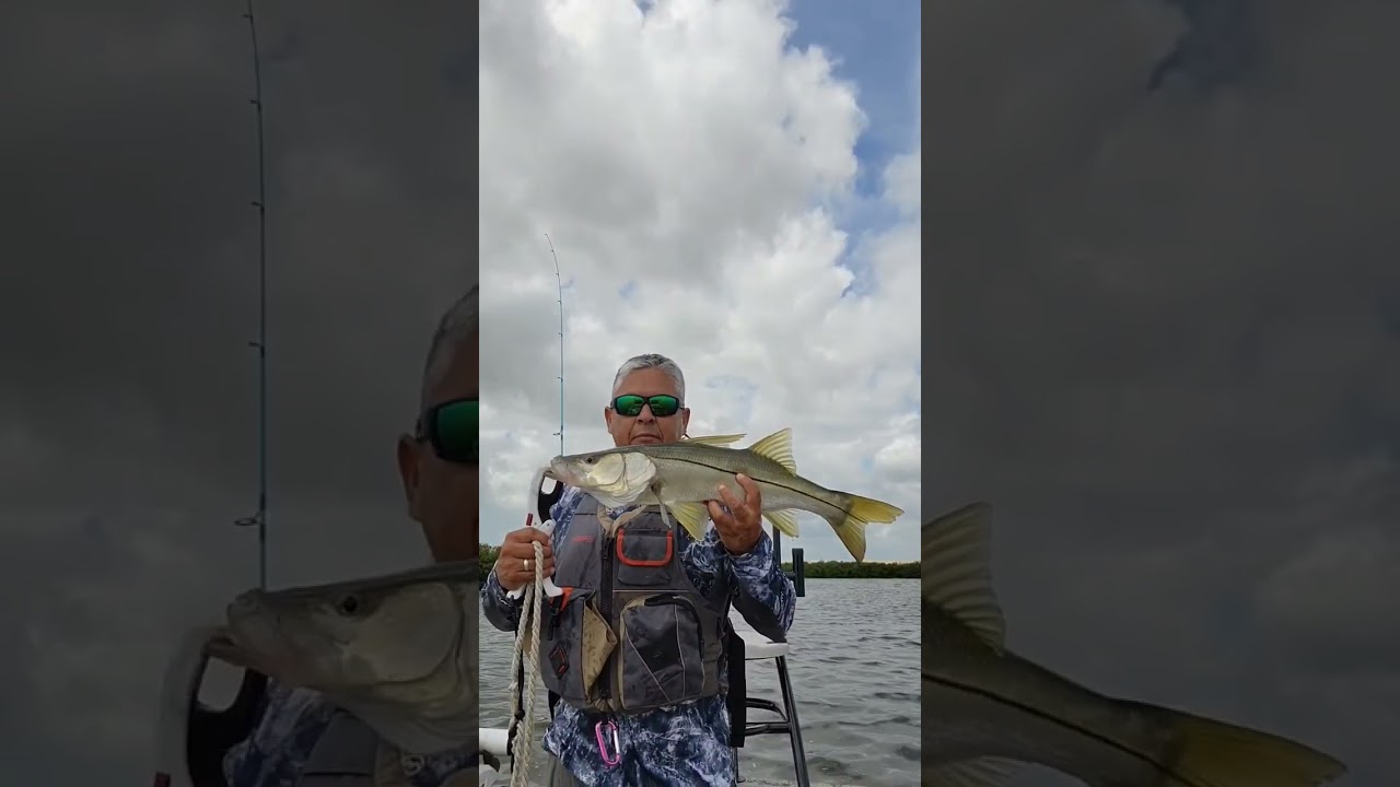 SNOOK # 4 ON TOPWATER                #snook #fishing #snookfishing