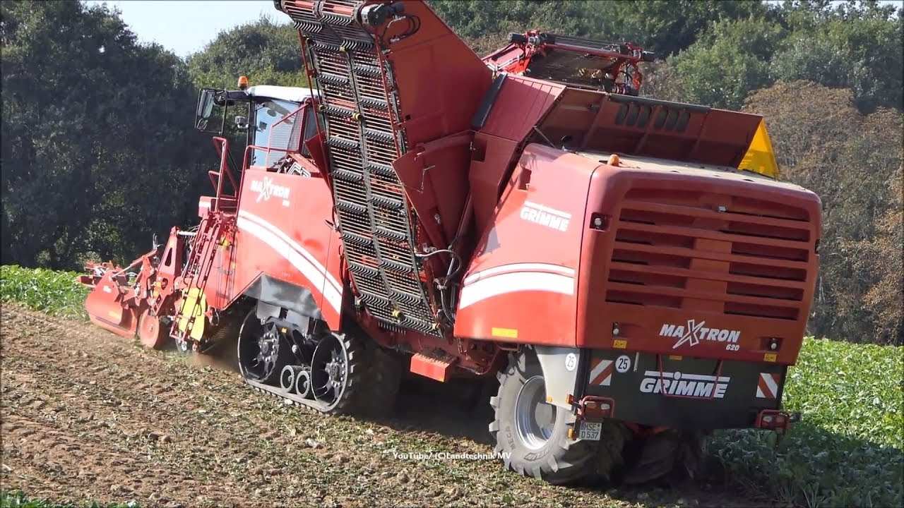 Grimme-Holmer / Rübenernte - Beet Harvest   2018