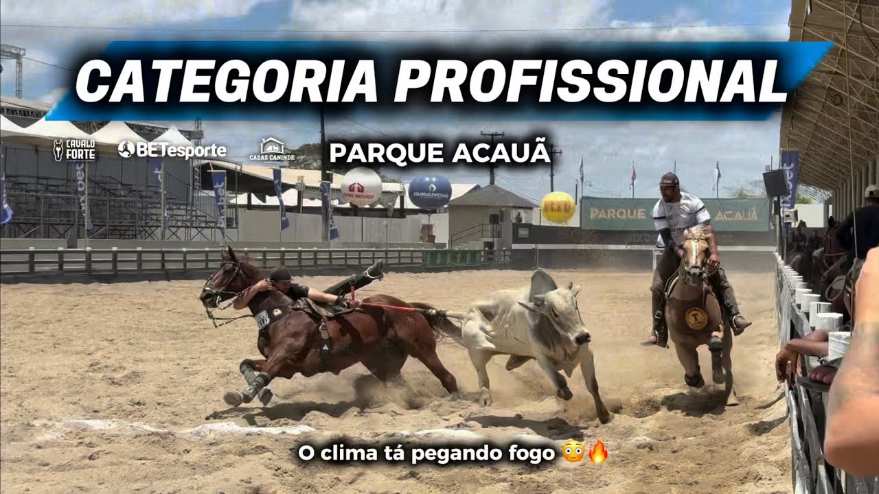 VAQUEJADA AO VIVO - CLASSIFICAÇÃO PROFISSIONAL 1º DIA / BASTIDORES 