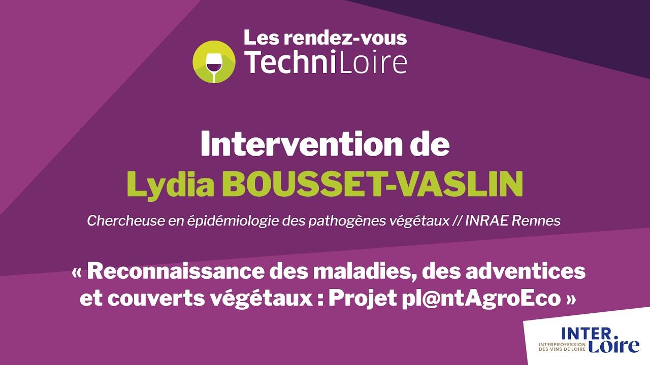 RDV TechniLoire 2026 - Le projet Pl@ntAgroEco, par Lydia Bousset-Vaslin