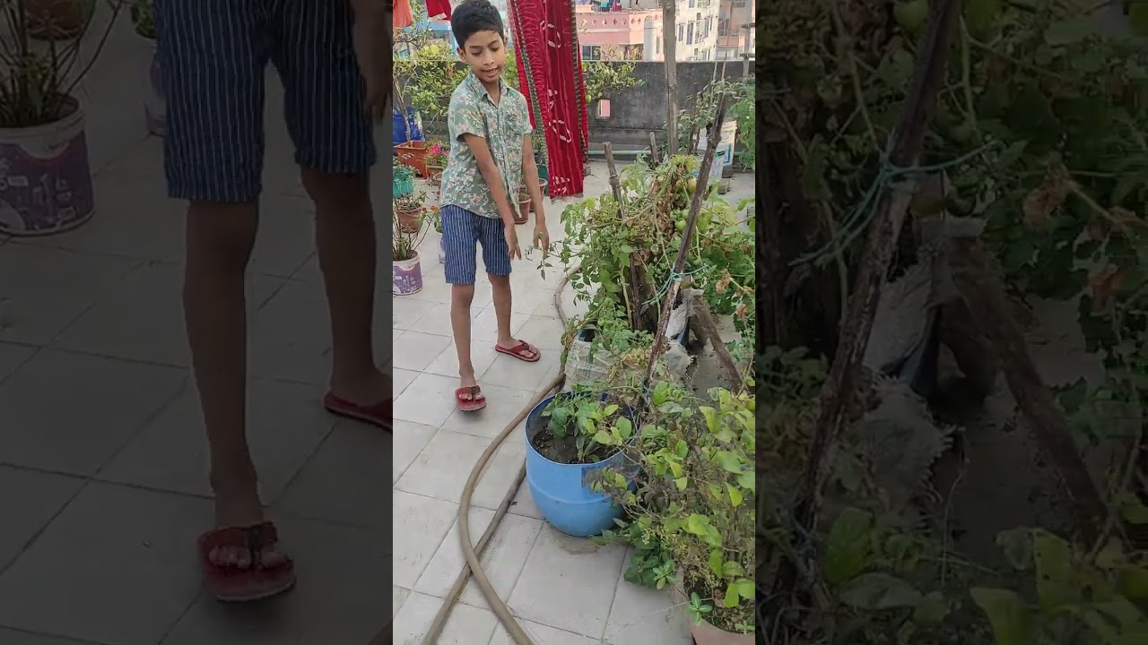 আলহামদুলিল্লাহ। কোটি শুকরিয়া আল্লাহর দরবারে।🥰❤️💜🧡💗 