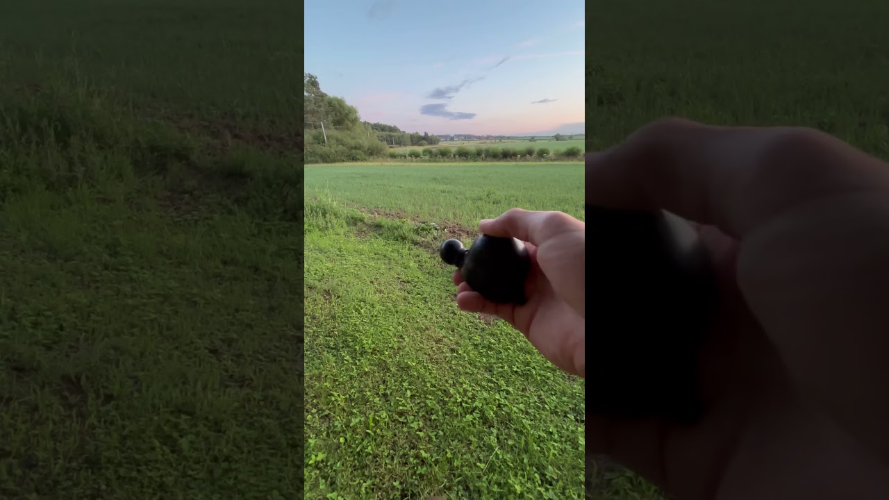 Watch how a curious buck reacts #Buttolo #roebuck #deercall #hunting #ruttingseaso  #wildlife #short