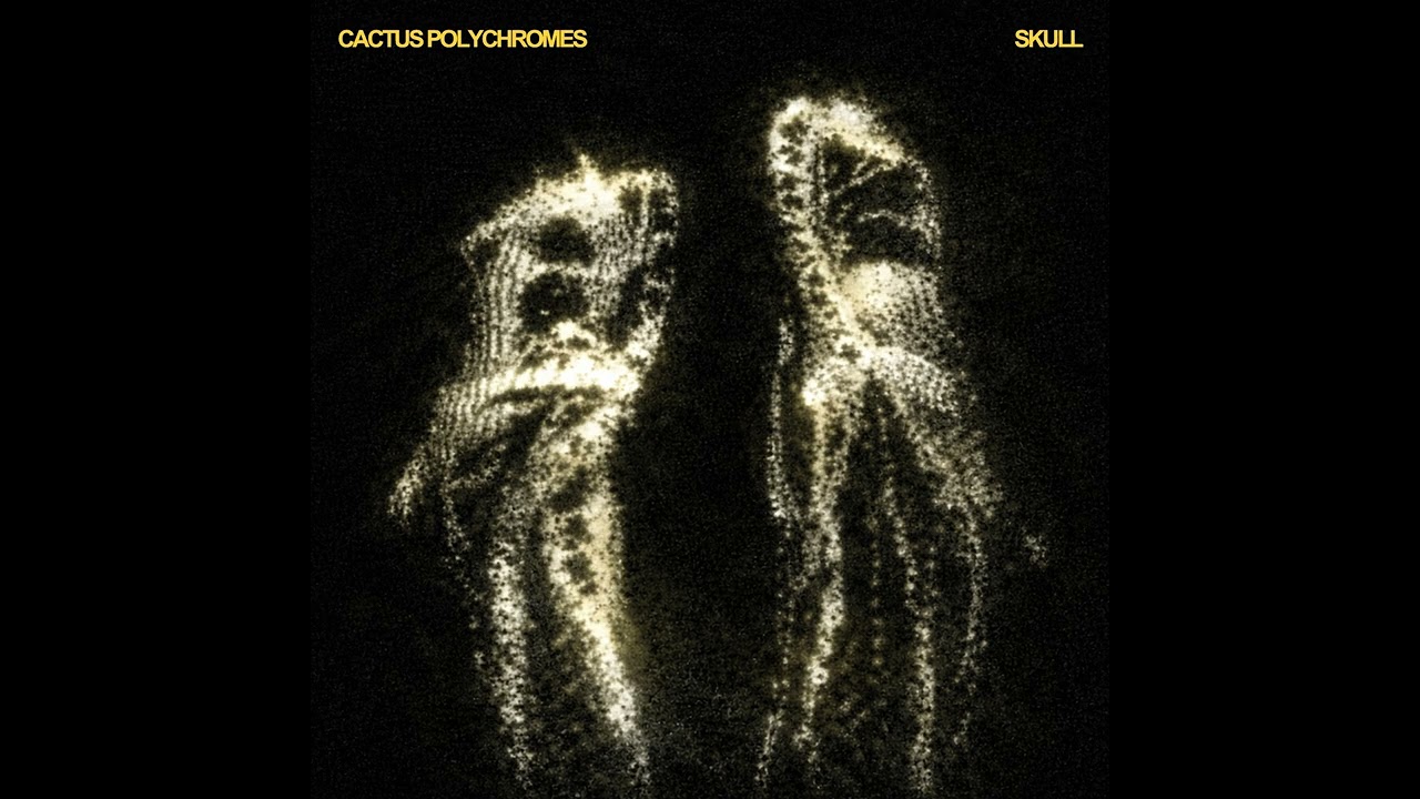 Cactus Polychromes - Skull (Official Audio)
