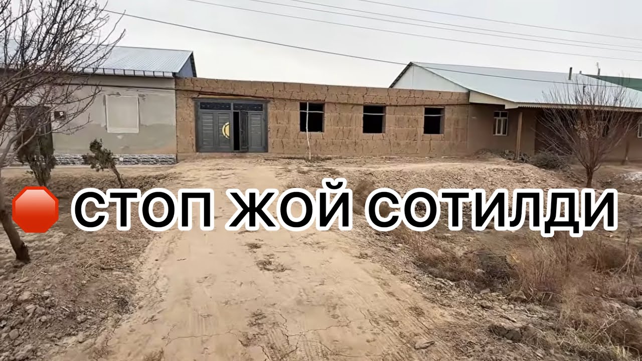 УШБУ ЖОЙ ЗУДЛИК БИЛАН СОТИЛАДИ #shorts 14 марта 2026 г.