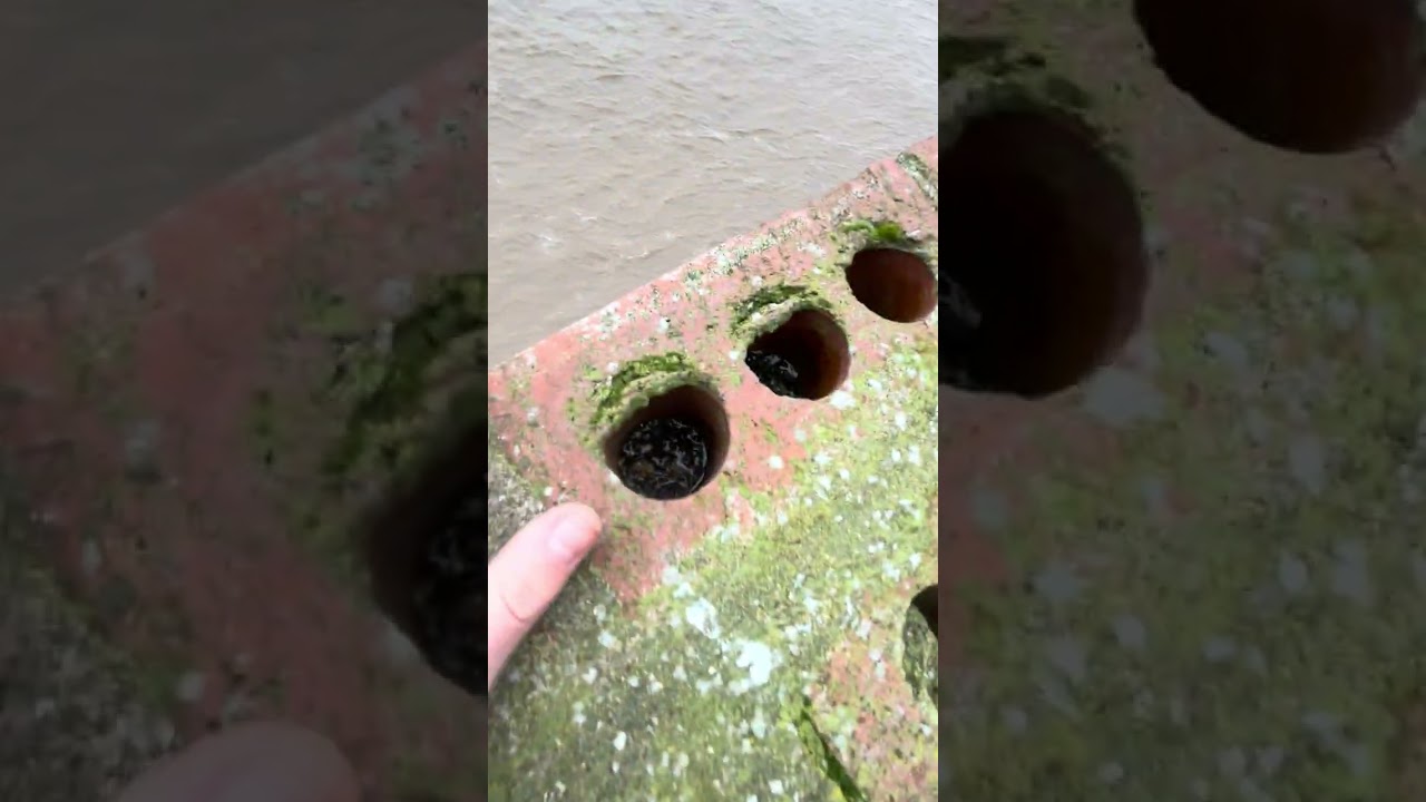 2 boys exploring lordline hull