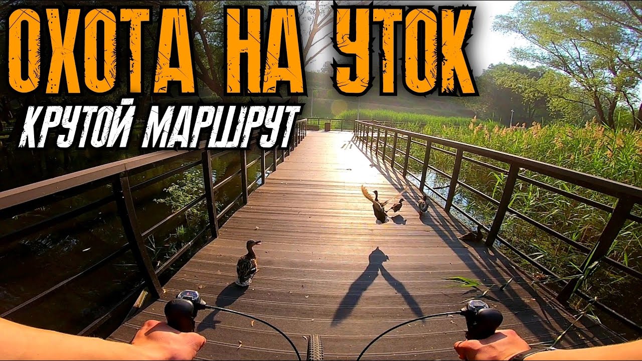 5 УТРА в парках МОСКВЫ  на GRAVEL BIKE