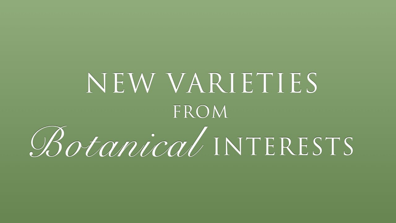 2017 New Varieties from Botanical Interests