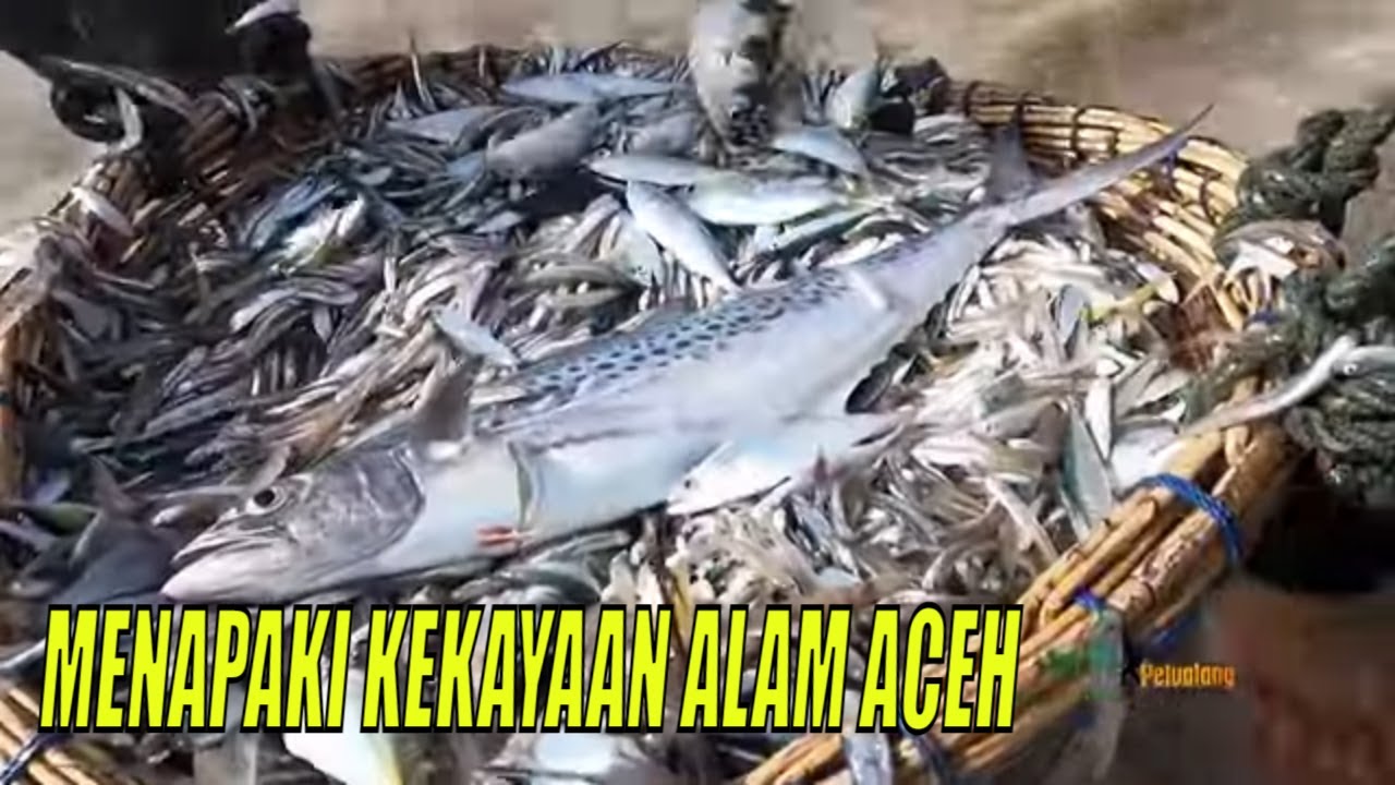 [FULL] MENAPAKI KEKAYAAN ALAM ACEH | JEJAK PETUALANG (22/06/22)