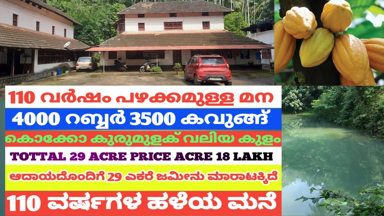 29 ഏക്കർ വൻ ആദായത്തോടുകൂടിയ ഭൂമി വില്പനയ്ക്ക് ഏക്കർ ₹18 ലക്ഷം #realestate