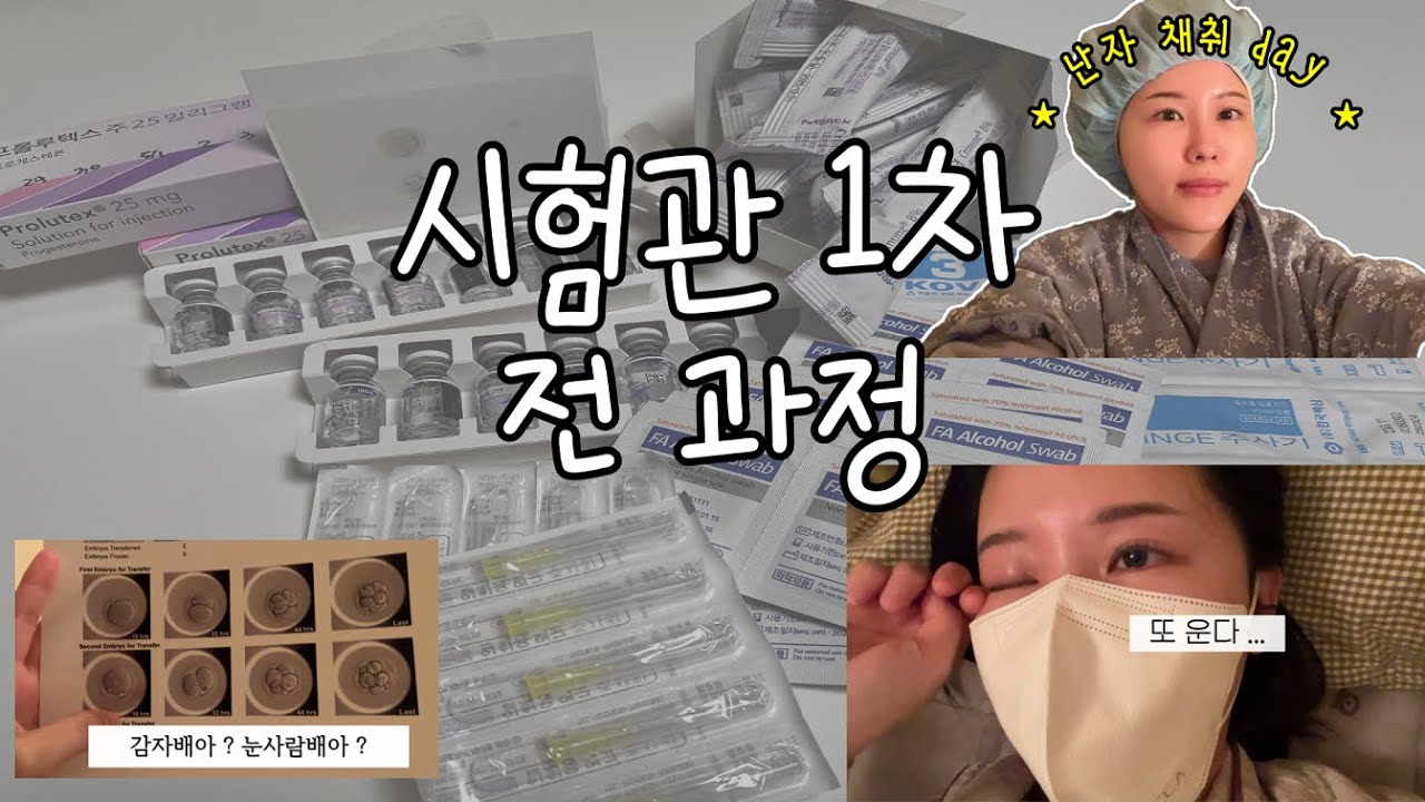 [시험관vlog]시험관 1차 과정 그리고 결과는..?｜신선배아｜마리아병원｜난자채취