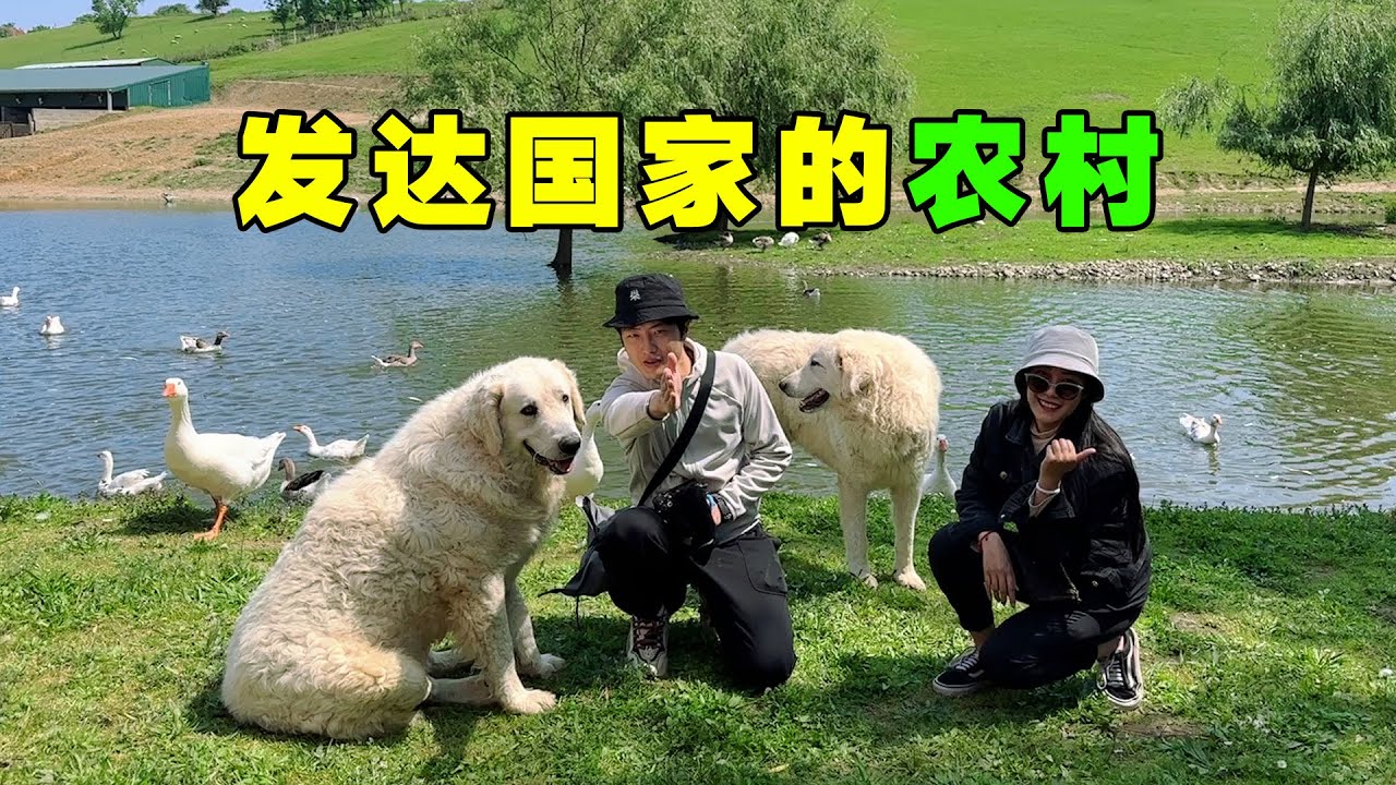 匈牙利的农民到底过着怎样的生活？第一次看到他们的农村有些惊讶！【使馆番外】【Vanlife】ENG SUB