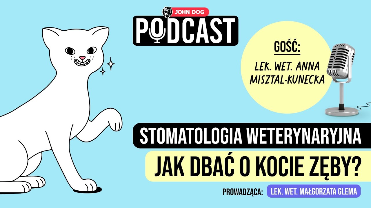 PODCAST - Stomatologia weterynaryjna: jak dbać o kocie zęby? | gość: lek. wet. Anna Misztal-Kunecka