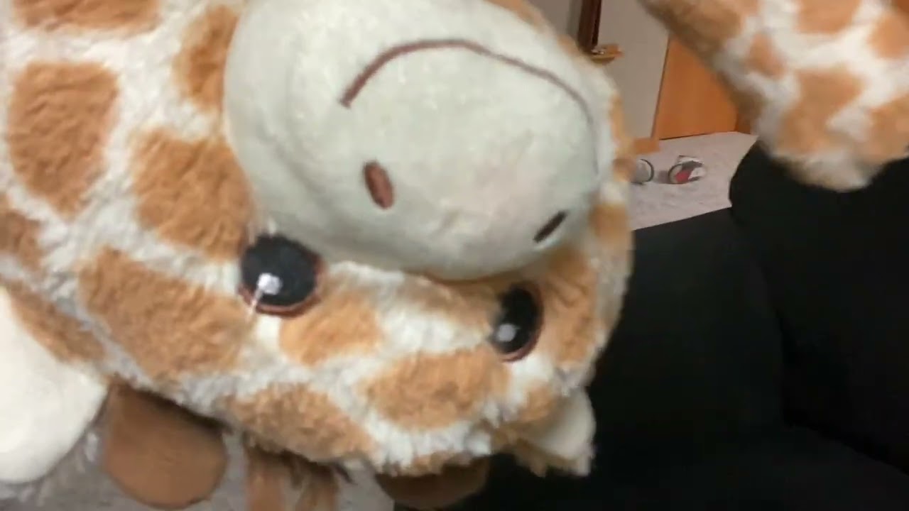 Stuffy see can find ￼