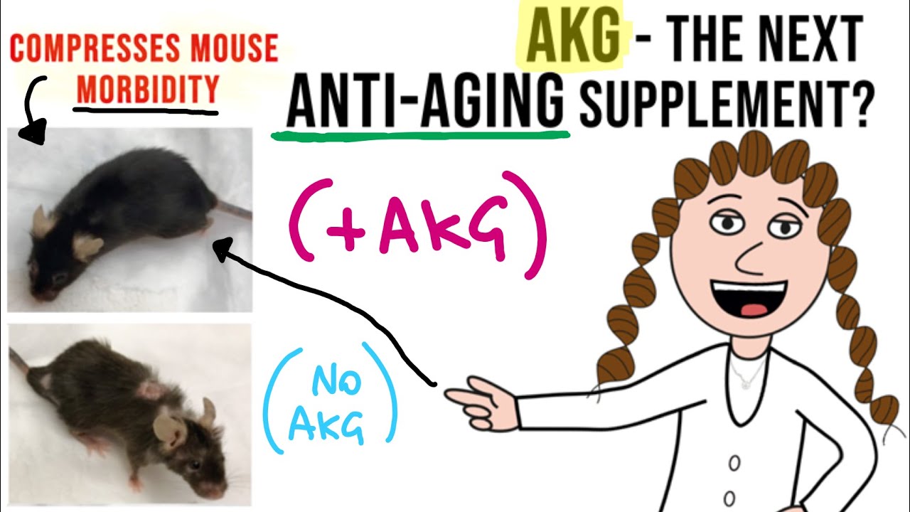 CaAKG - the healthspan extender you need to know about?